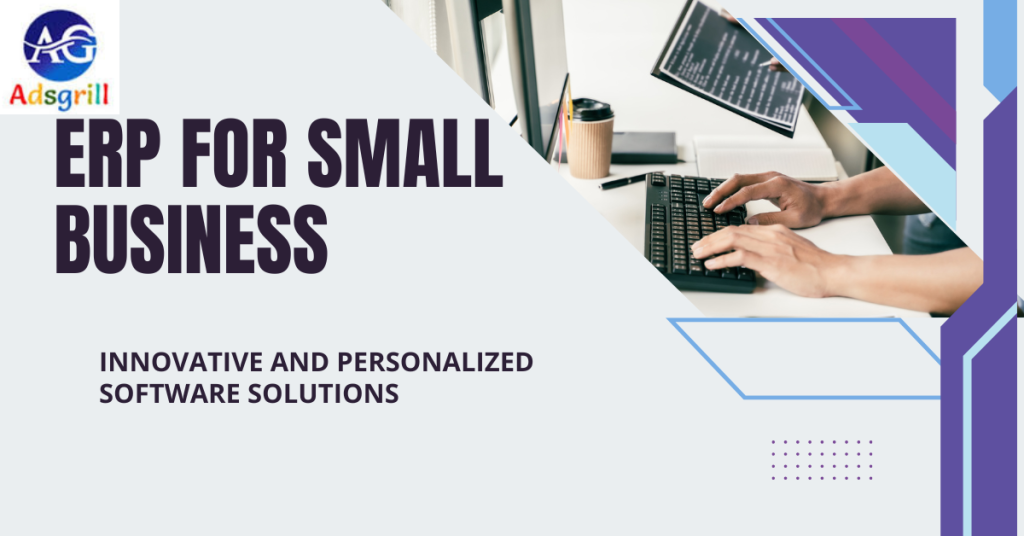 ERP for Small Business